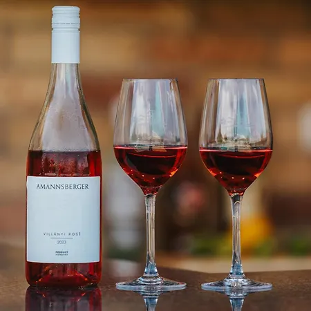 Amannsberger Wineyardlodge *