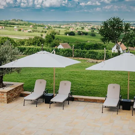 Guest house Amannsberger Wineyardlodge