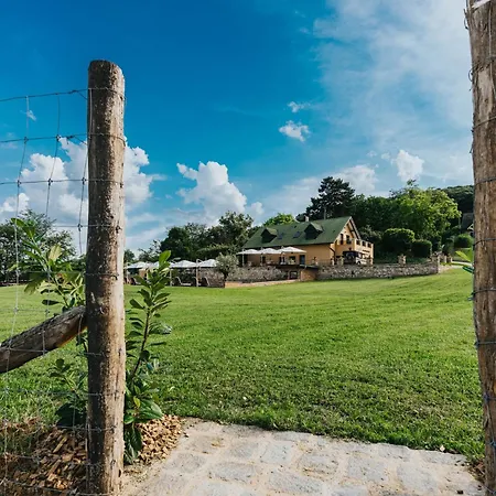 Amannsberger Wineyardlodge Guest house