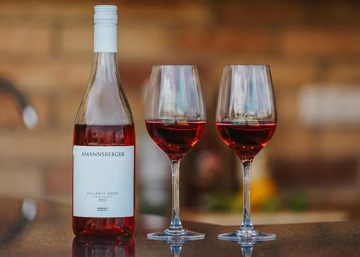Amannsberger Wineyardlodge 3*